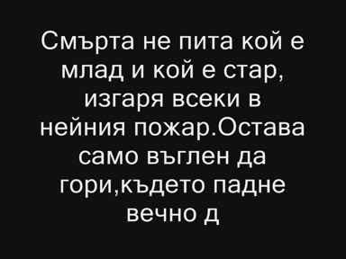 Една Година