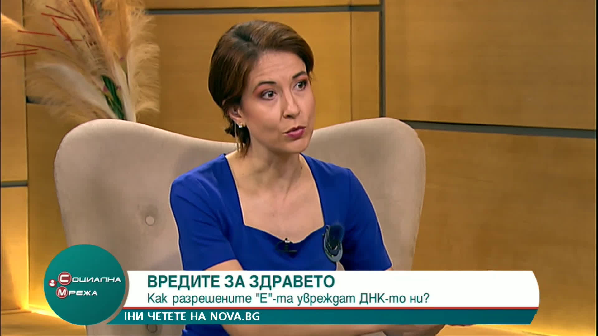 "Социална мрежа": Как хранителните добавки вредят на здравето ни?