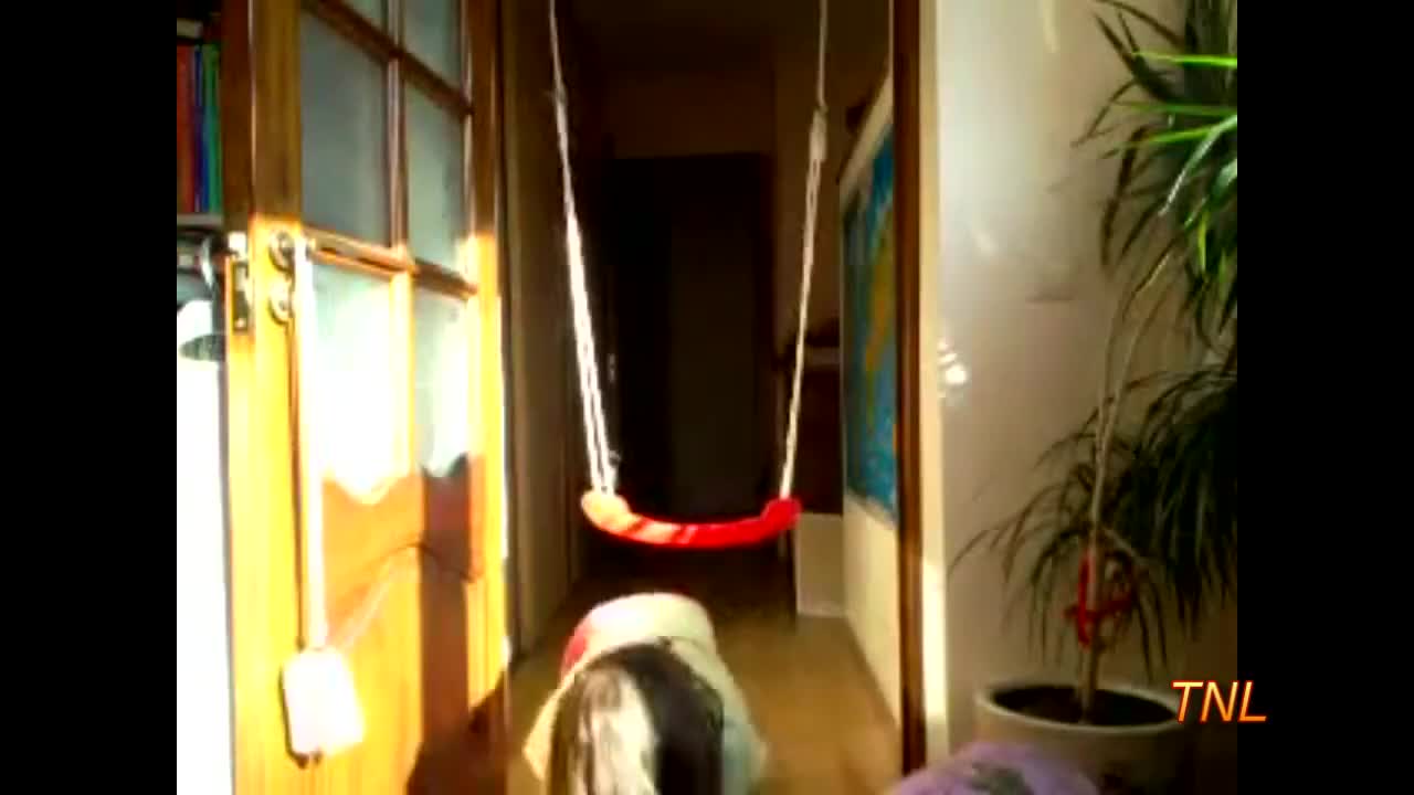 Fail компилация юли 2012 *смях*