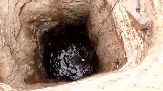 Вижте какво имаше в кладенеца! Трогателно видео