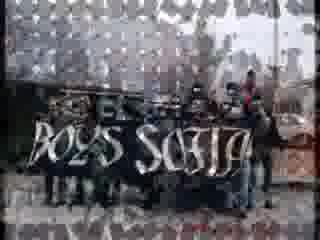 Славия София - Fans