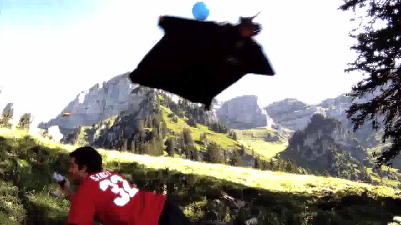 Скачать the crew таблетка Скачать the crew таблетка