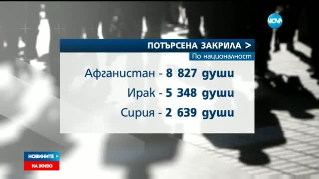 Близо 20 000 души поискали закрила у нас през 2016 г.