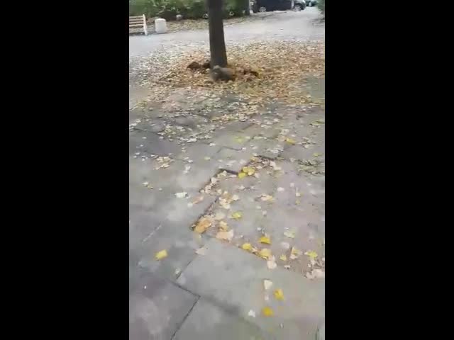Елате да си поиграем