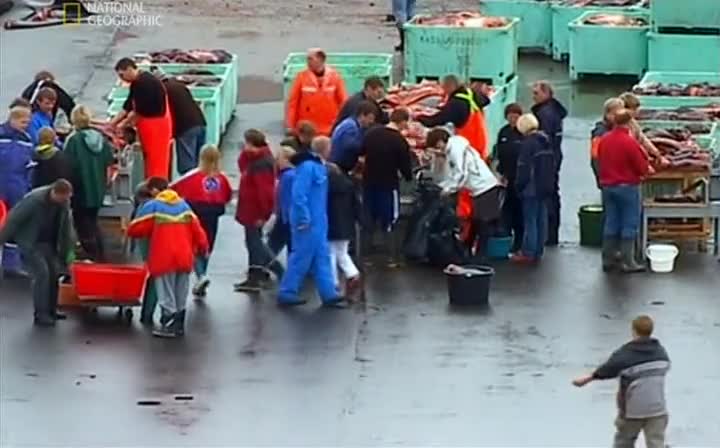 Табу: Проливане на кръв