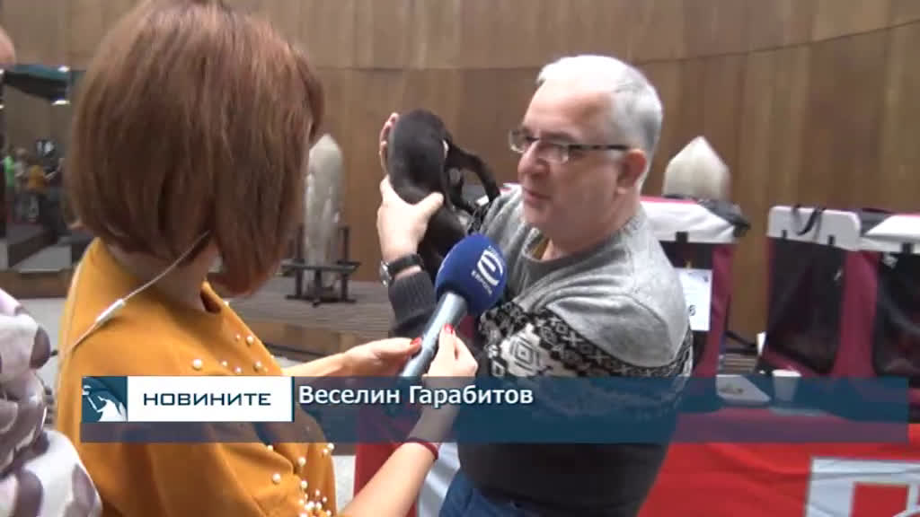Котки от цяла Европа се съревновават в международен конкурс в столицата