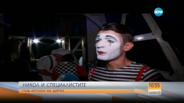 "Никол и специалистите" в цирка