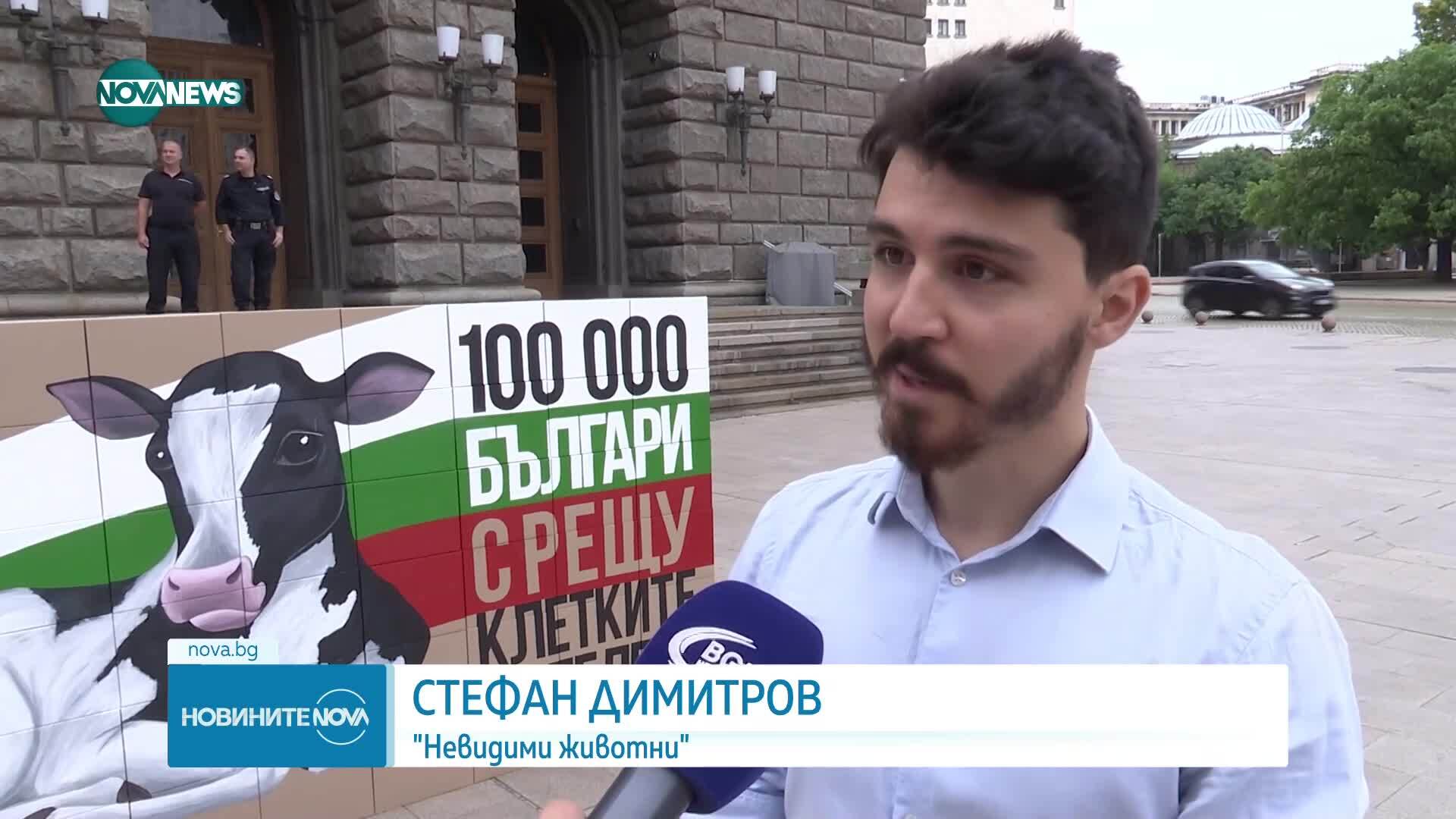 Демонстрация с искане за забрана на клетките за телета се проведе пред сградата на Народното събрание
