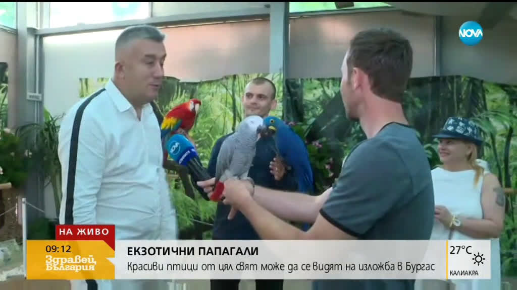ЕКЗОТИЧНА ИЗЛОЖБА: Папагали от 3 континента са показани в Бургас