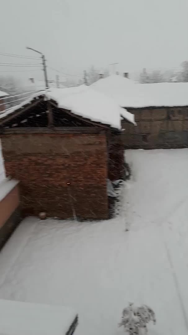 Зимна приказка