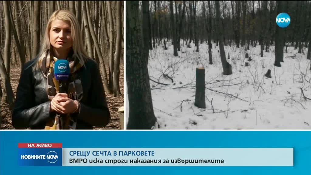 СРЕЩУ СЕЧТА В ПАРКОВЕТЕ: ВМРО иска затвор за нарушителите