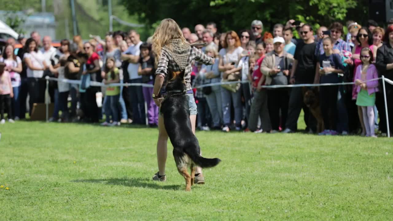 Изложба за всички породи кучета за Купата на Кмета гр Русе