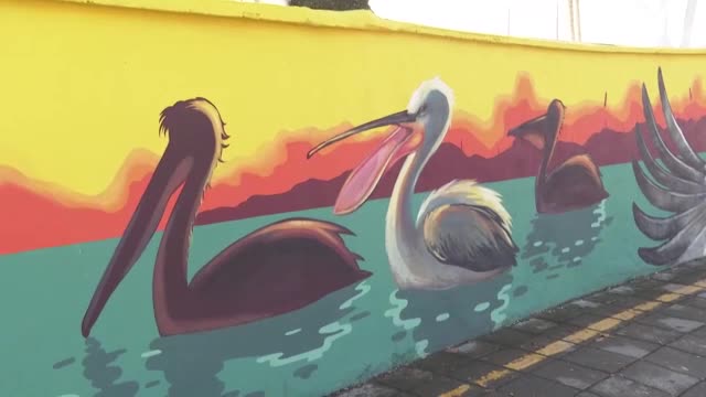 Цветен пеликан „кацна” на стената на поликлиника в Бургас