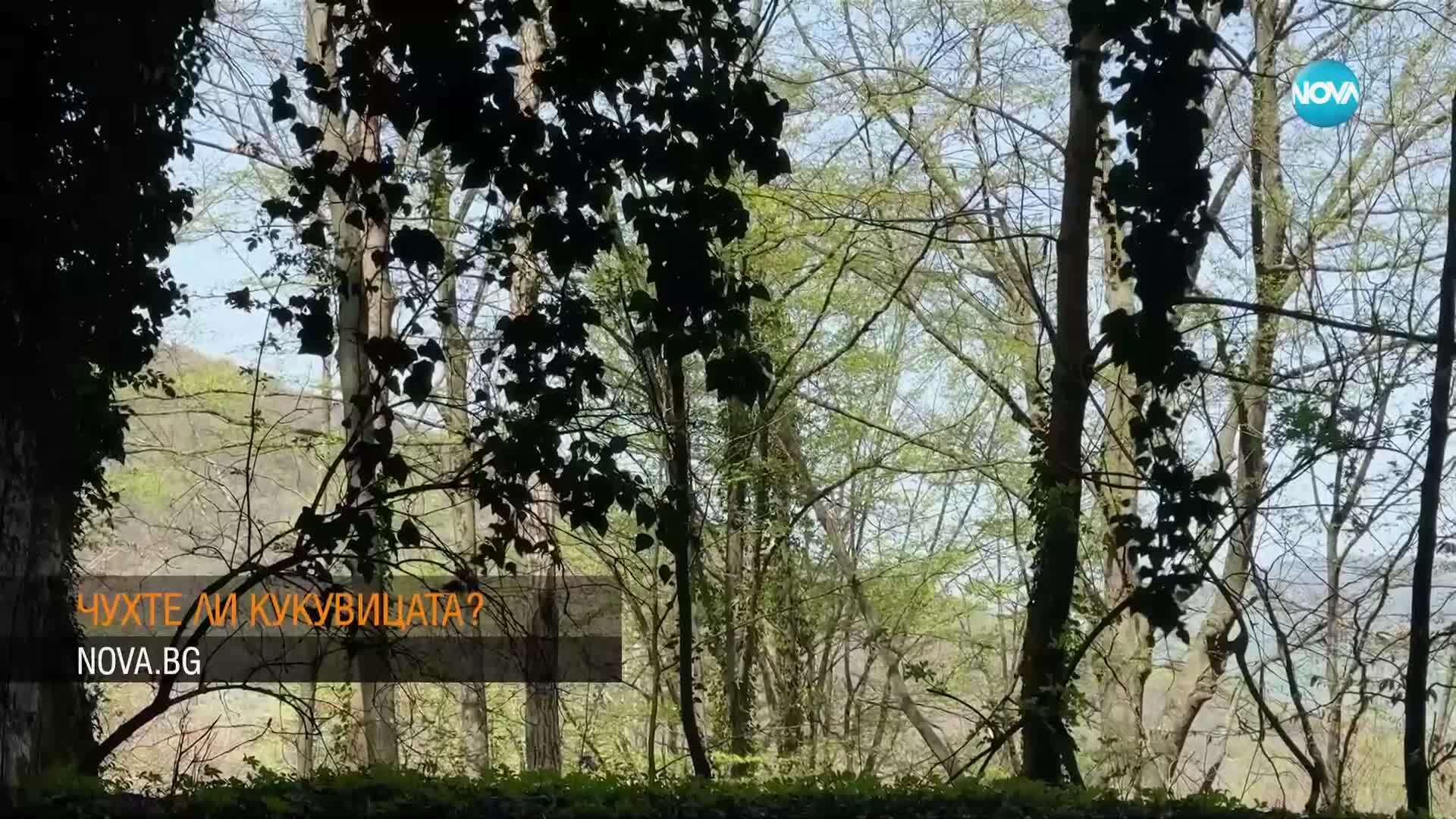 Дъждове с градушки през Светлата седмица