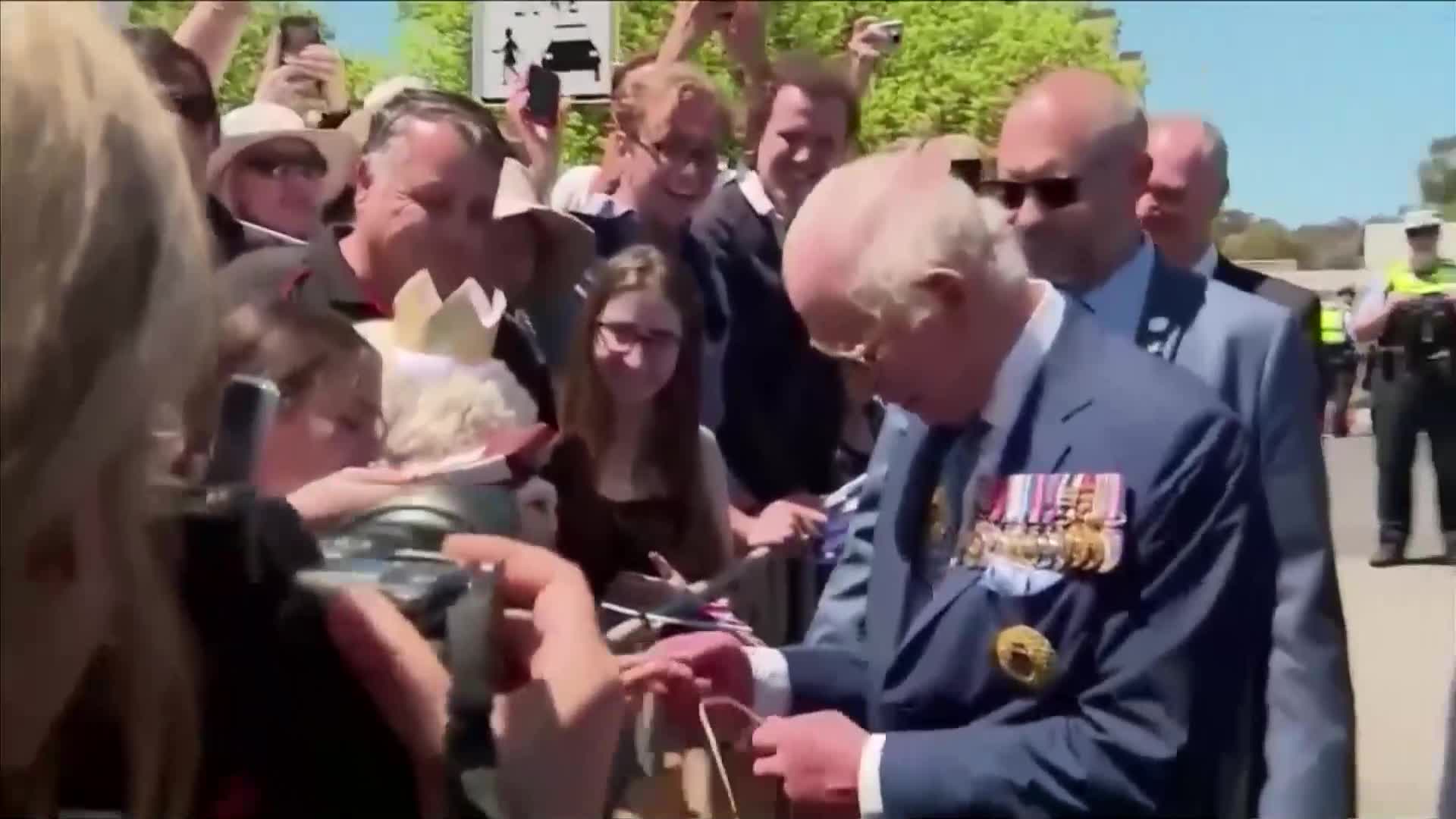 Любопитна алпака "поздрави" Чарлз Трети в Канбера (ВИДЕО)