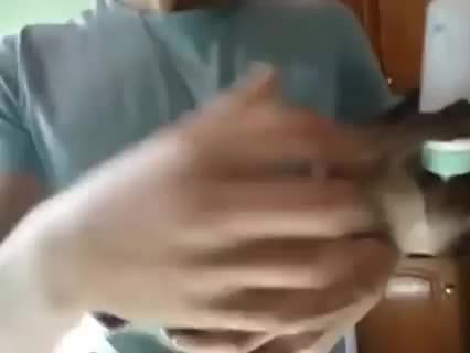 Коте пие мляко като бебе ( Смях )