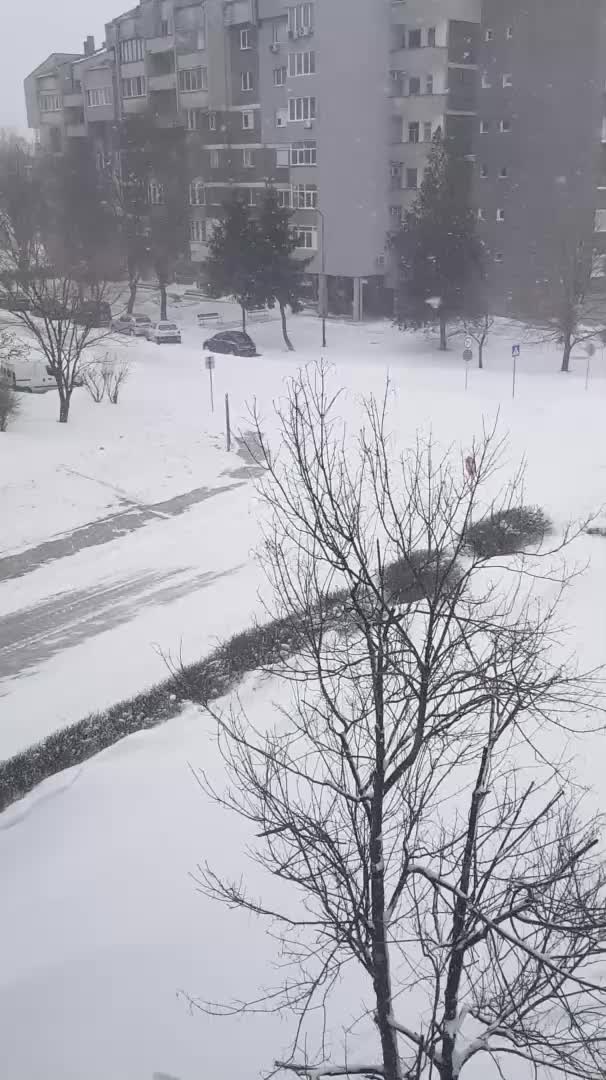 Бяла приказка