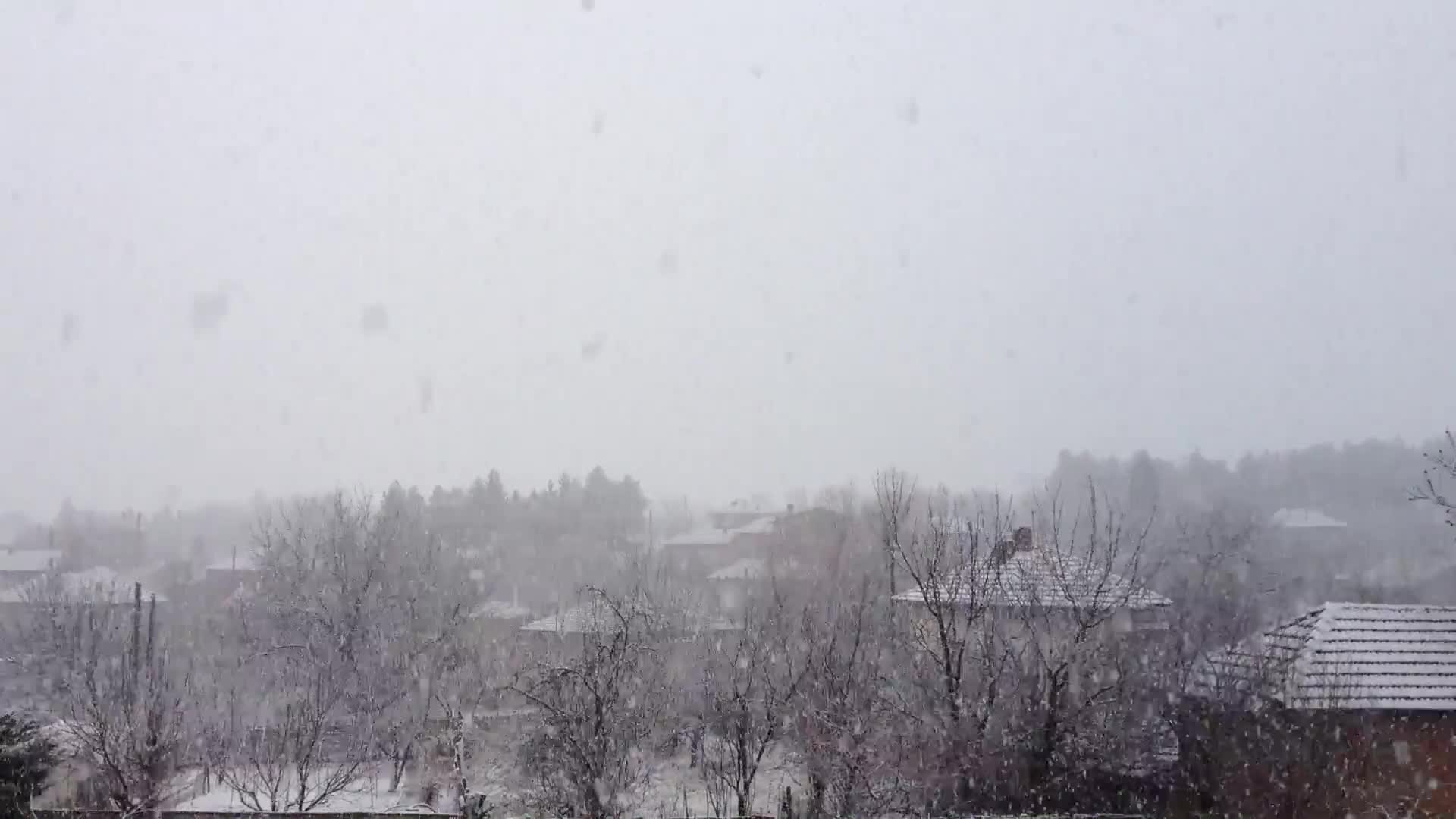 Снегът в село Згалево