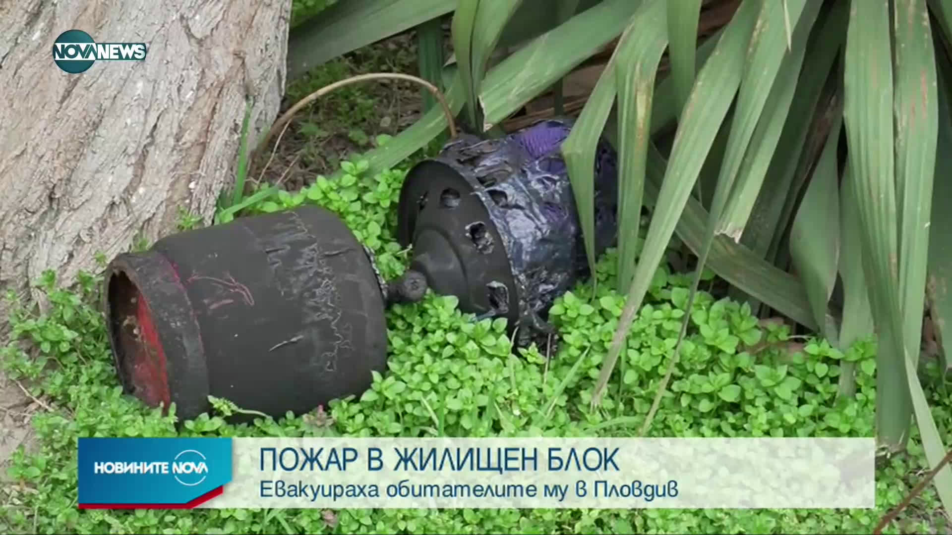 Новините на NOVA NEWS (06.03.2021 - 14:00)