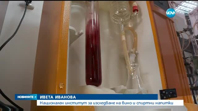 Новините на NOVA (31.07.2016 - централна)