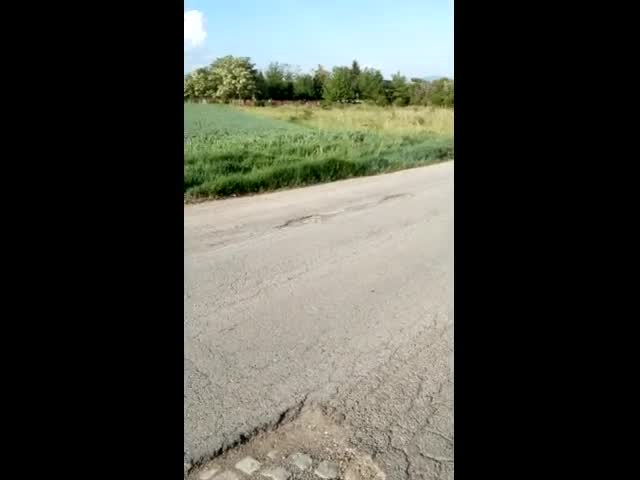 Ями по пътя