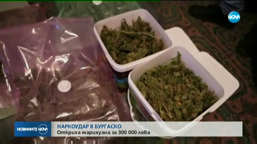 Откриха марихуана за 300 000 лв. при акция в Бургаско