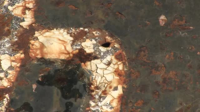 Стрелци и моряци повреждат речните знаци по Дунава