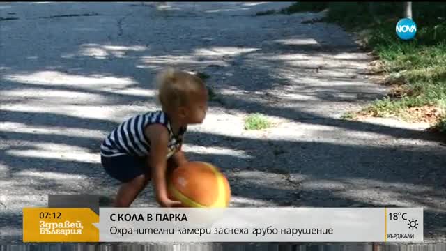 С КОЛА В ПАРКА: Охранителна камера засне грубо нарушение
