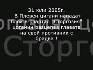 Ромите Съсипват Още Повече Държавата Ни .