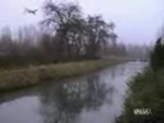 Патици Се Пързалят По Лед