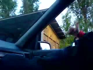 Гавра с Проститутките на Магистралата