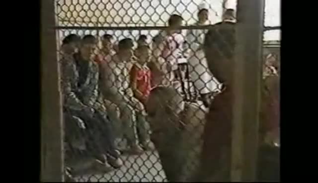 Родени без любов - Това си струва да се чуе 