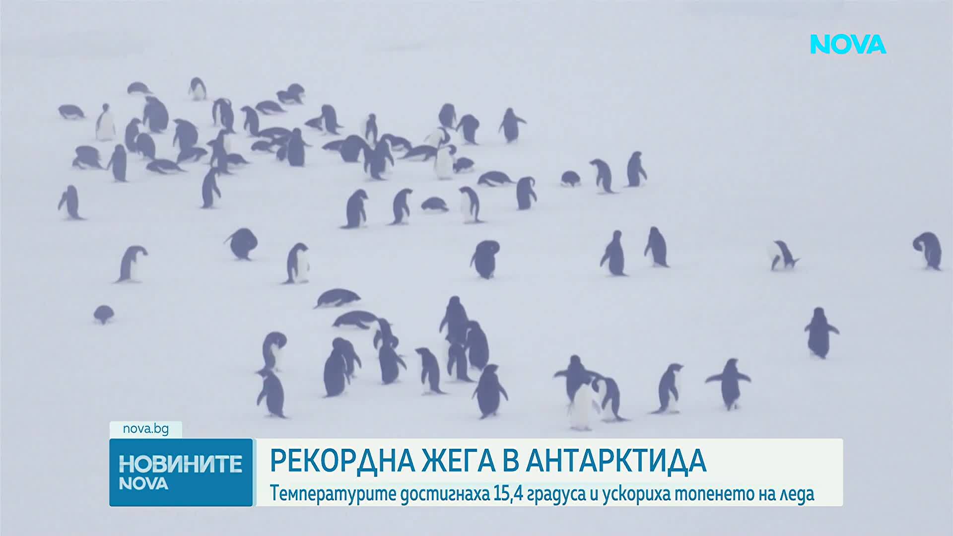 Учени алармират за рекордна жега на Антарктида