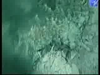 Donna Lewis And Richard Marx