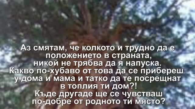 Какво Щвейцария ли Размисли върху ценностите родина и чужбина