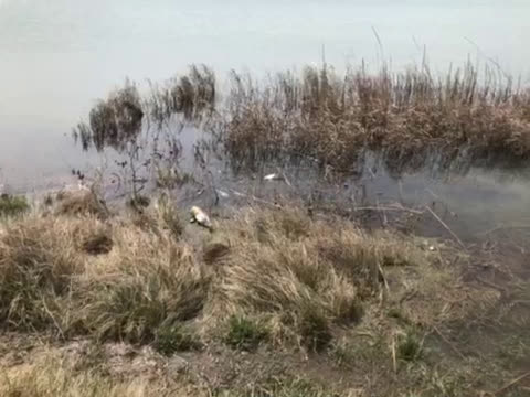 Шуменско езеро