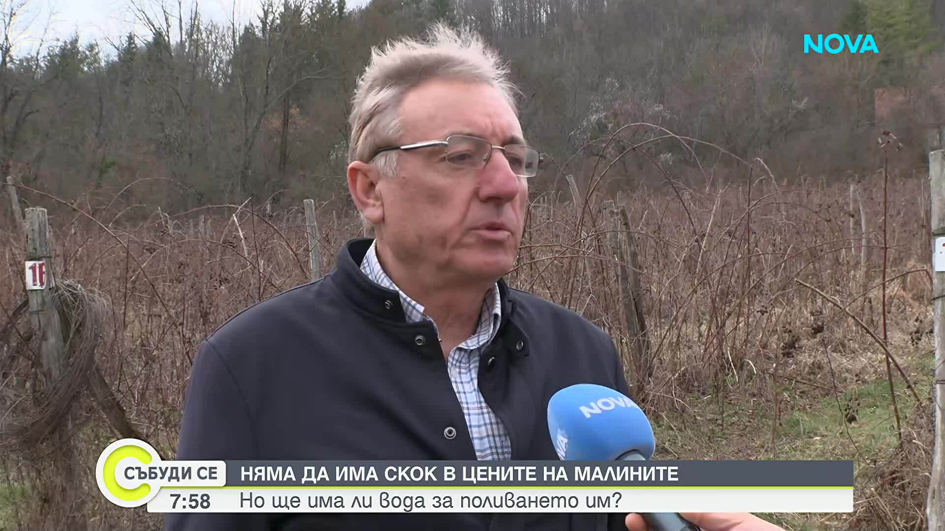 Малинопроизводители алармират за водна криза