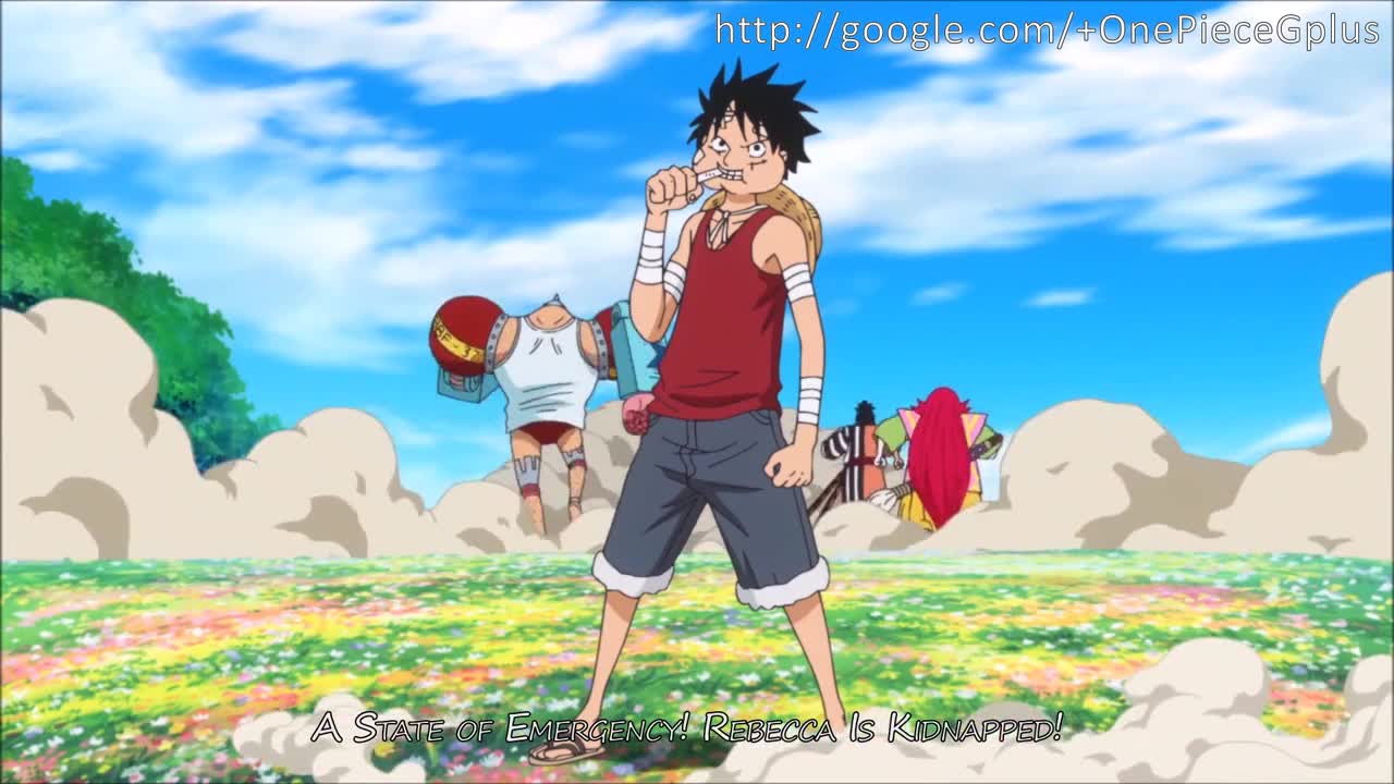 one piece episode 877 english subbed dounload