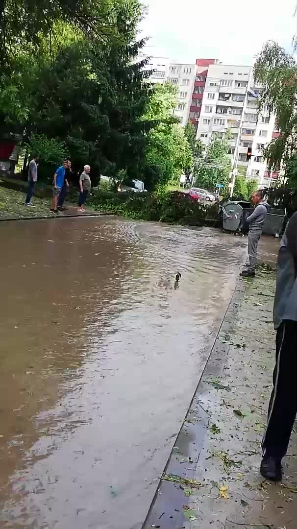 Апокалипсис в Плевен