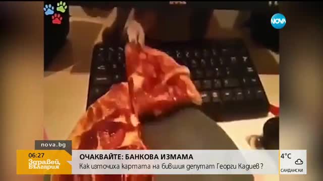 Отмъщението на котките