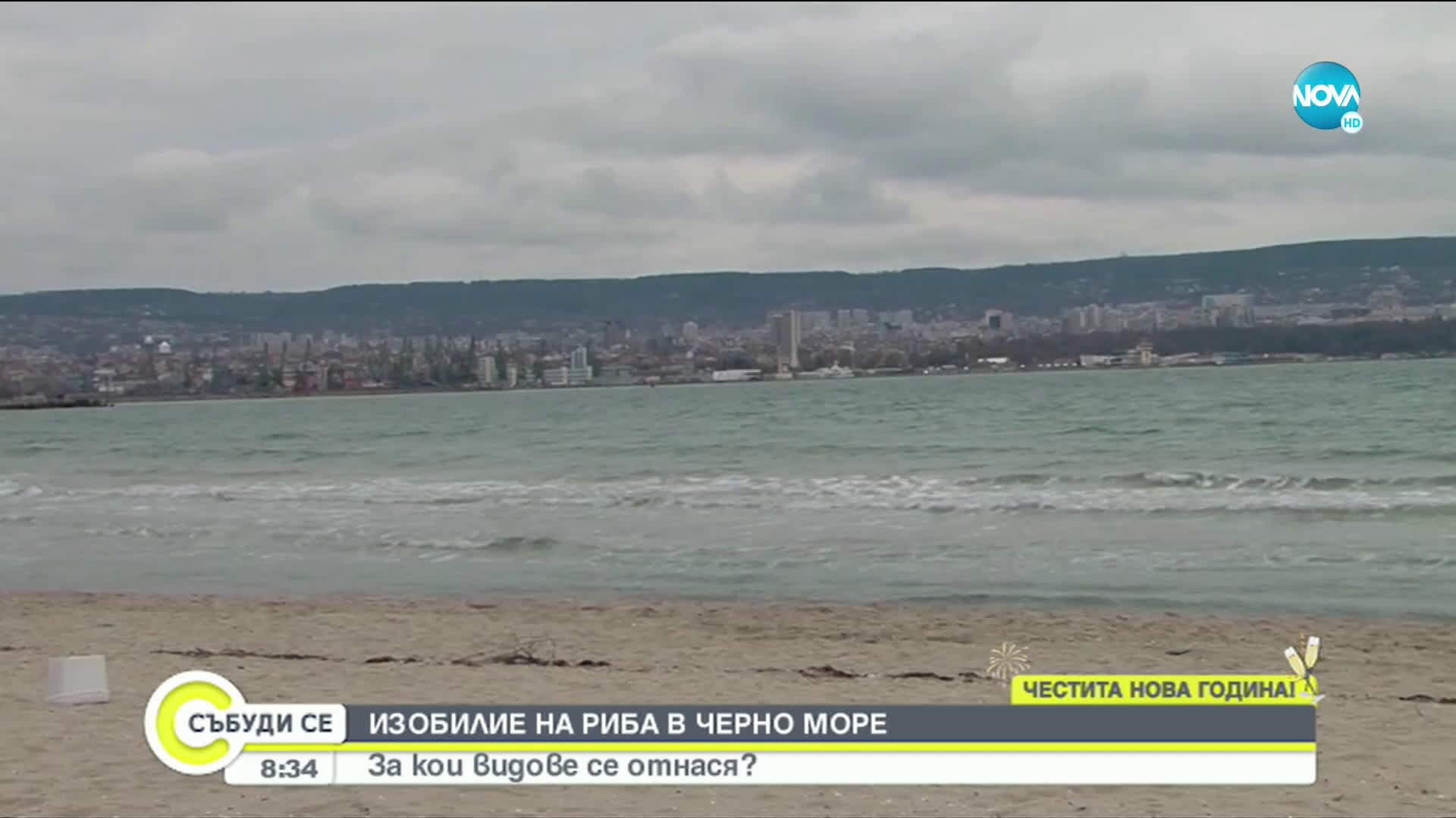 ИЗОБИЛИЕ НА РИБА В ЧЕРНО МОРЕ: За кои видове се отнася