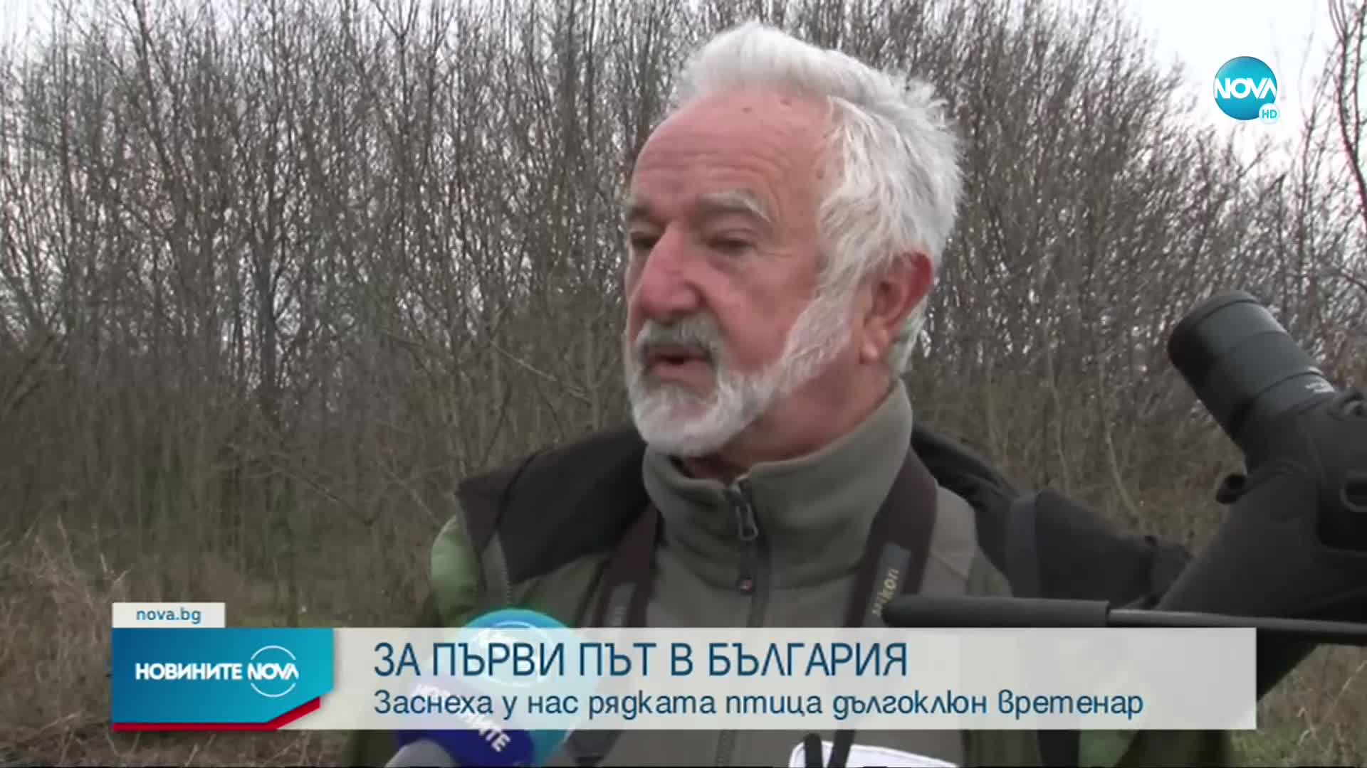 Орнитолози: Вретенарите, наблюдавани в Атанасовското езеро, са прелетели над 10 хил. км