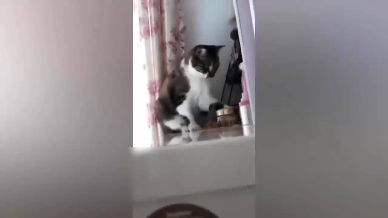 Супер як смях - Мега смешна компилация