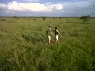 Да уплашиш слон докато си пиян ( смях )