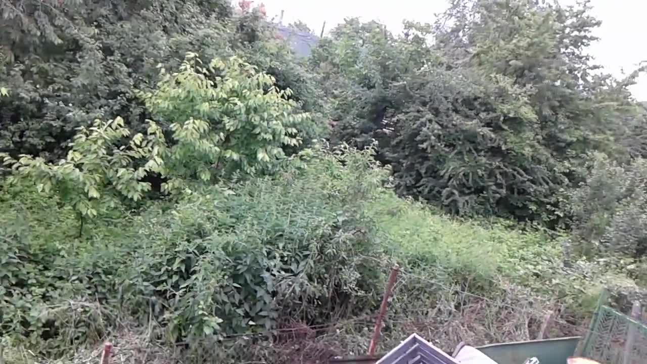 Развъдник на змии и гущери