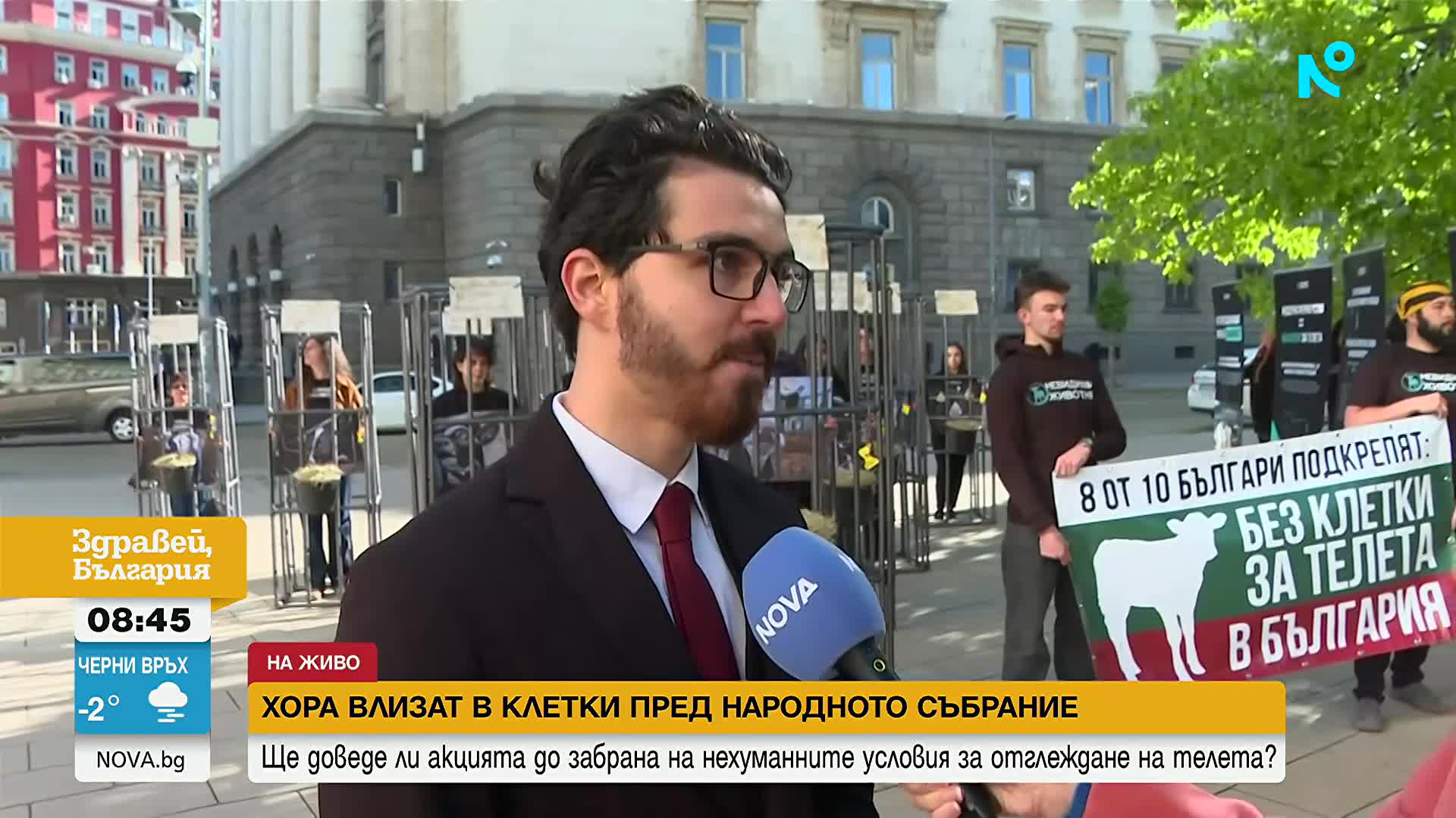 Активисти влязоха в клетки в защита на телетата, отглеждани при нехуманни условия