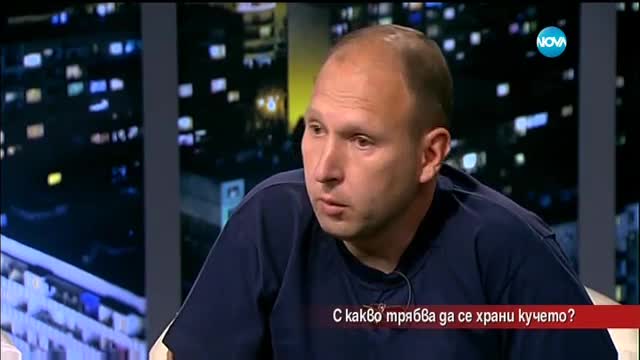 С какво трябва да храним кучето си?