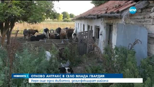 Новините на Нова (29.07.2015 - следобедна)