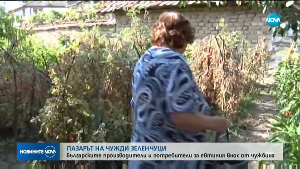 Ръст на зеленчуците внос от чужбина