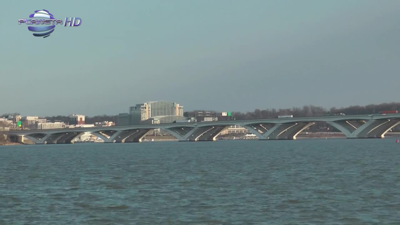 Песен без граници - Зоопаркът, 2011